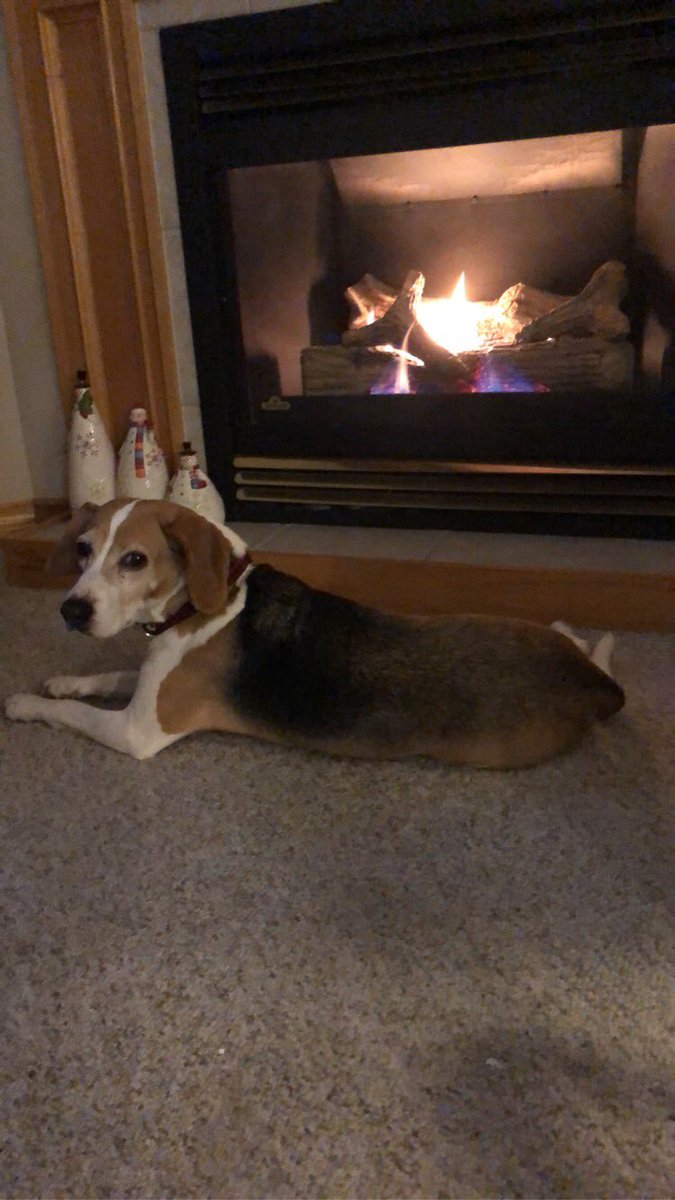 m0llymckinlay's tweet photo. #BellLetsTalk about Lois https://t.co/xTUCuCHsAU