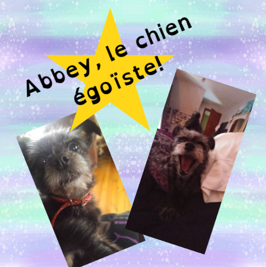mroch087's tweet photo. J'ai créé un super beau livre ce soir sur mon chien égoiste! Quel bel outil! #BookCreator #PED476020 https://t.co/TzV5Rg3s6q https://t.co/vWpcEE4vDt