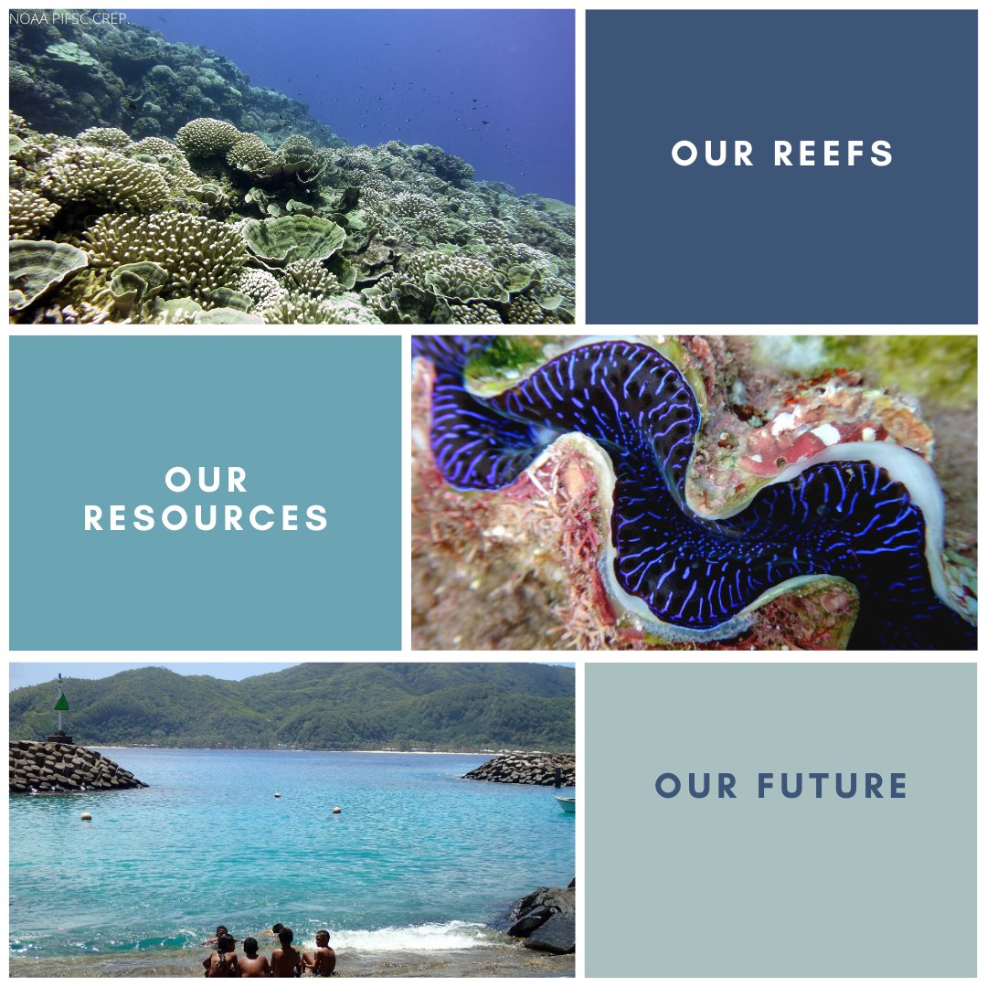 asdmwr's tweet photo. Protect and Conserve our Marine Resources American Samoa! https://t.co/xb3gLnPtgu
