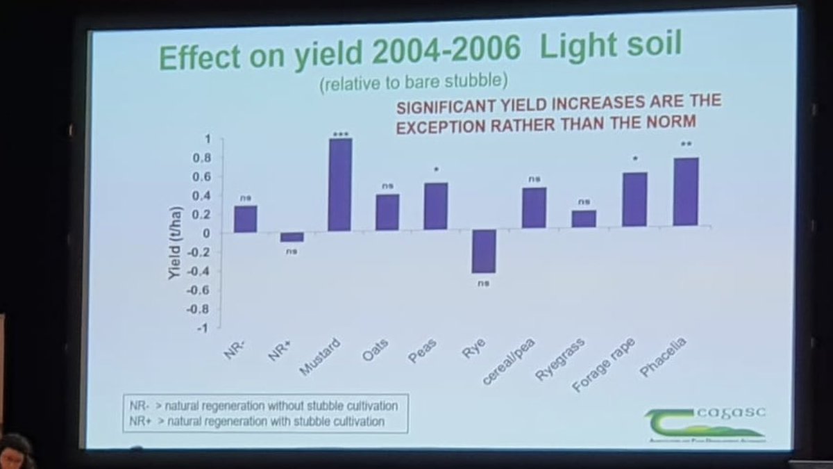 Louis Mc Auley tweet media
