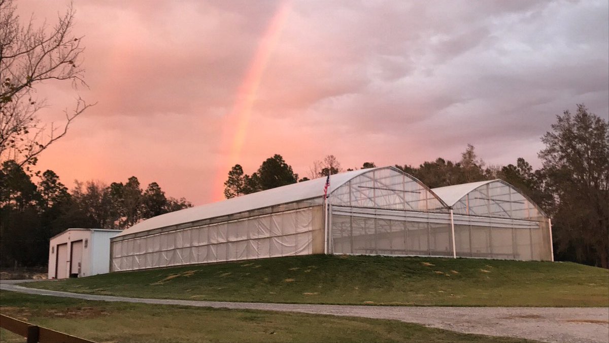 It’s the most #glorious #double #rainbow #doublerainbow #greenhouse #sunset #aquaponics