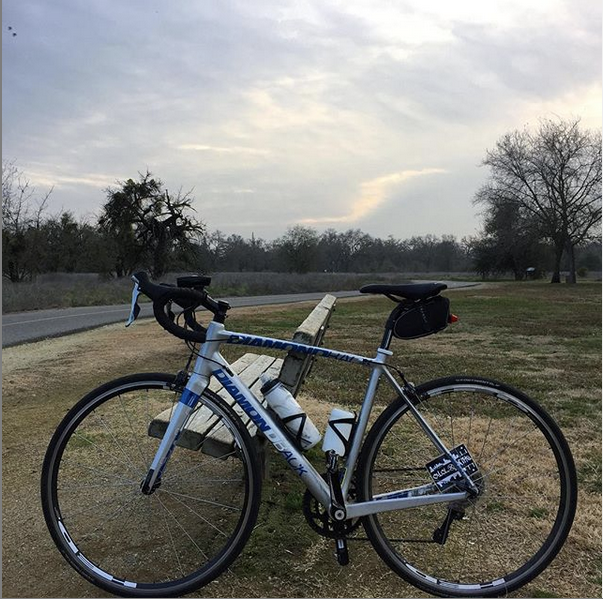 DiamondBack_Jak's tweet photo. What's your favorite type of Diamondback? GO!! https://t.co/W1UN6rJUQF