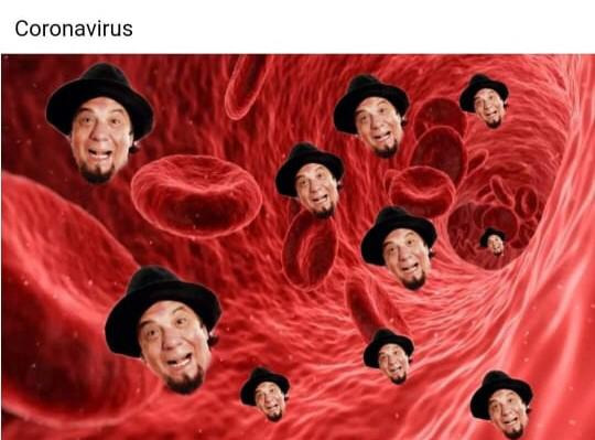 fpedrosa2's tweet image. El corona virus ya tiene una mutación argentina! #simultaneamente