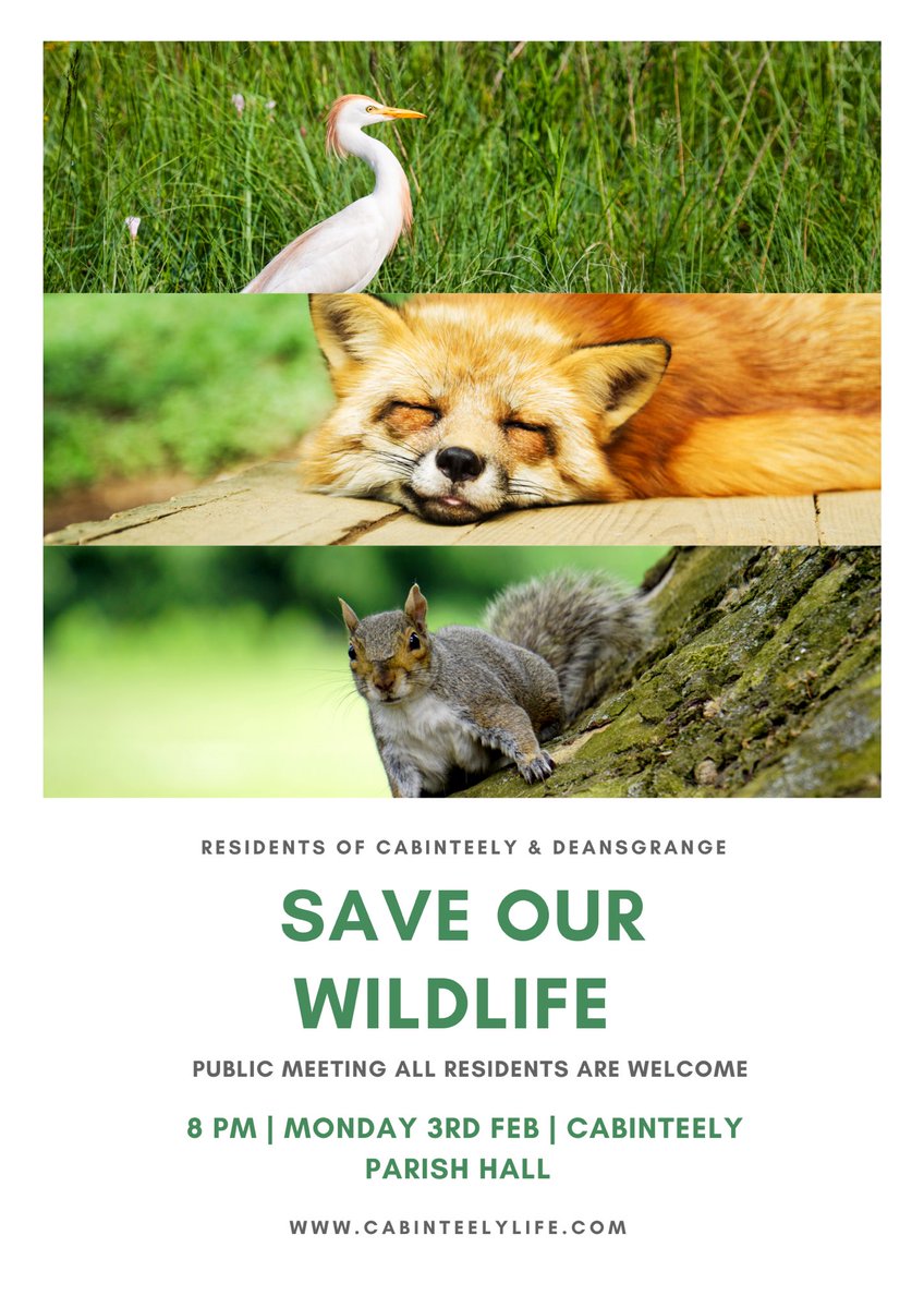 Public Meeting to seek support in the protection of wildlife whose habitat is under threat by the expected development on the pitches of Clonkeen College - sold to a developer in 2017. The pitches were an important resource for students &amp; were shared by a large nos of Brent Geese