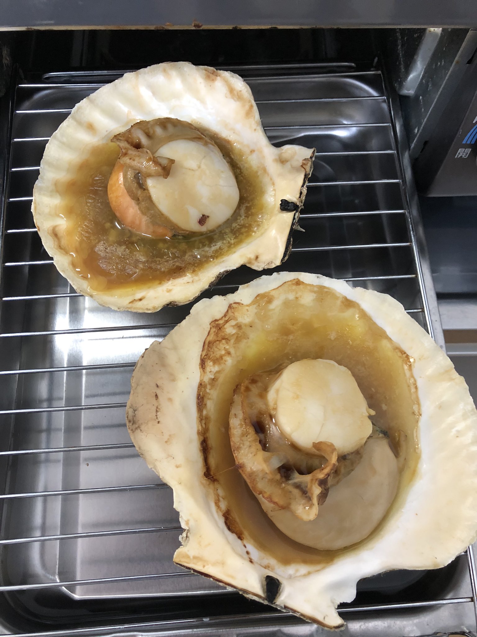 まいんちゃん ふるさと納税のホタテきた 今まで見てきたホタテの中で1番でかい 俺の使用済みテォッシュ箱と比べてもこのサイズ このサイズなら武田久美子もビックリの貝殻ビキニ作れるな アワビ は女性器に似てるだけで無駄に高いけど 味は完全にホタテ
