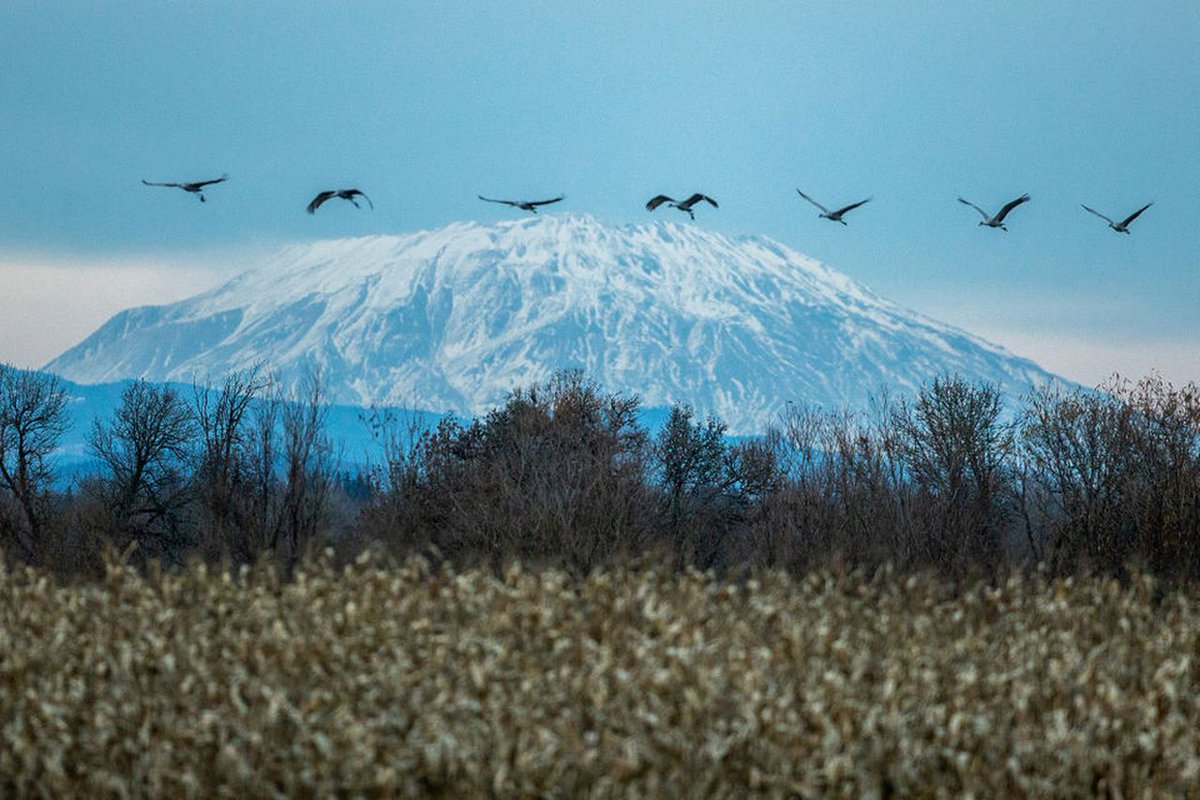 seaportauto's tweet photo. Where to find wildlife reserves near Portland. https://t.co/NLNcbgjzSJ #Portland #Oregon #wildlife #naturelovers https://t.co/Wg2iUP16Ym