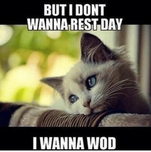 CF_Excursion's tweet photo. Thursday 1.30.2020.

Open gym 
TRX w/Mali 9:15am
Barbell 7:30pm

Open Gym- Midline/ recovery WOD:
3 Giant Sets:
10 Slow Ring Mountain Climbers
30 Seconds Ring Plank Hold
14 weighted abmat sit-ups
Rest 2:00 between sets.
#cfx  #cfexcursion #opengym  #trx #barbell https://t.co/AP90l8rDfs