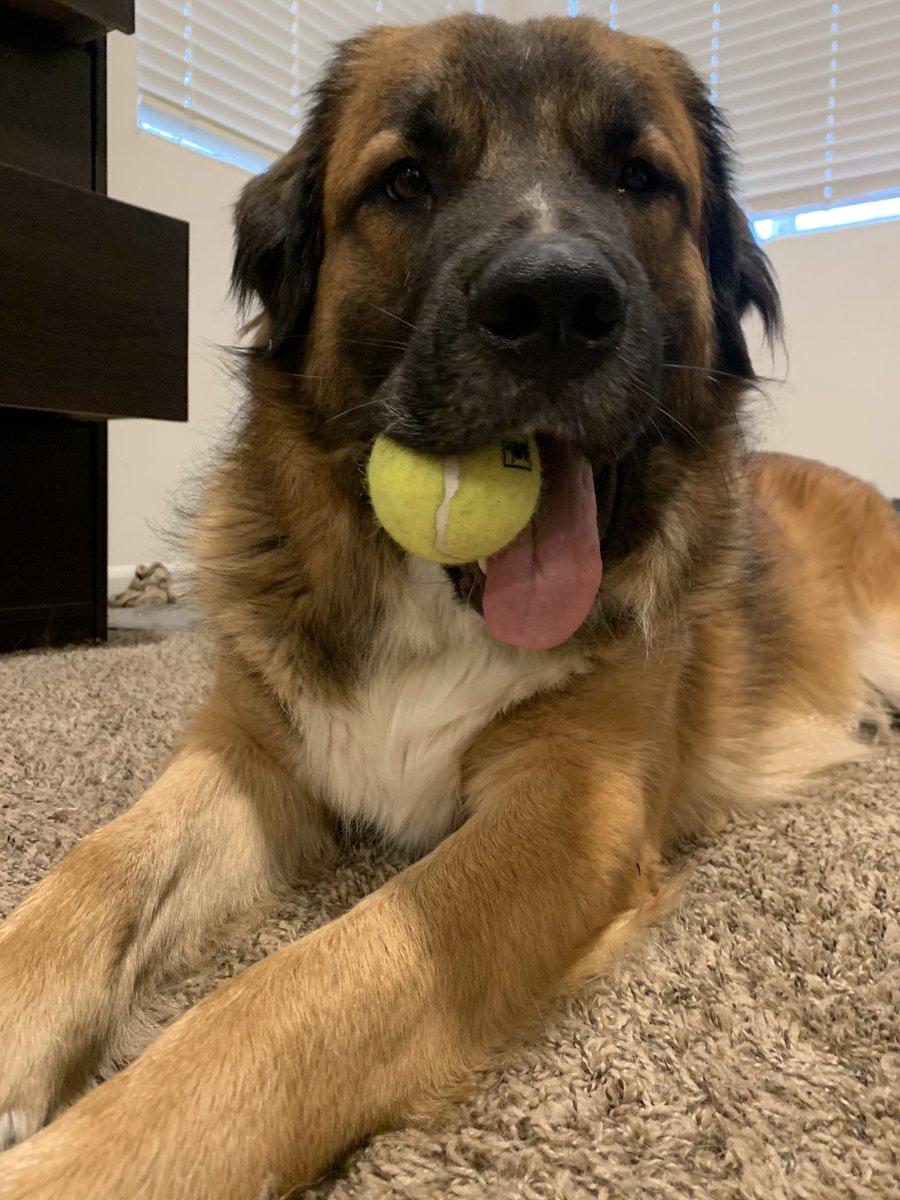 pillwatr's tweet photo. Otis // Otis https://t.co/JIVuMItzXI