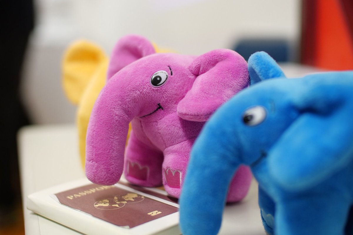 Roberto Gardenier tweet media