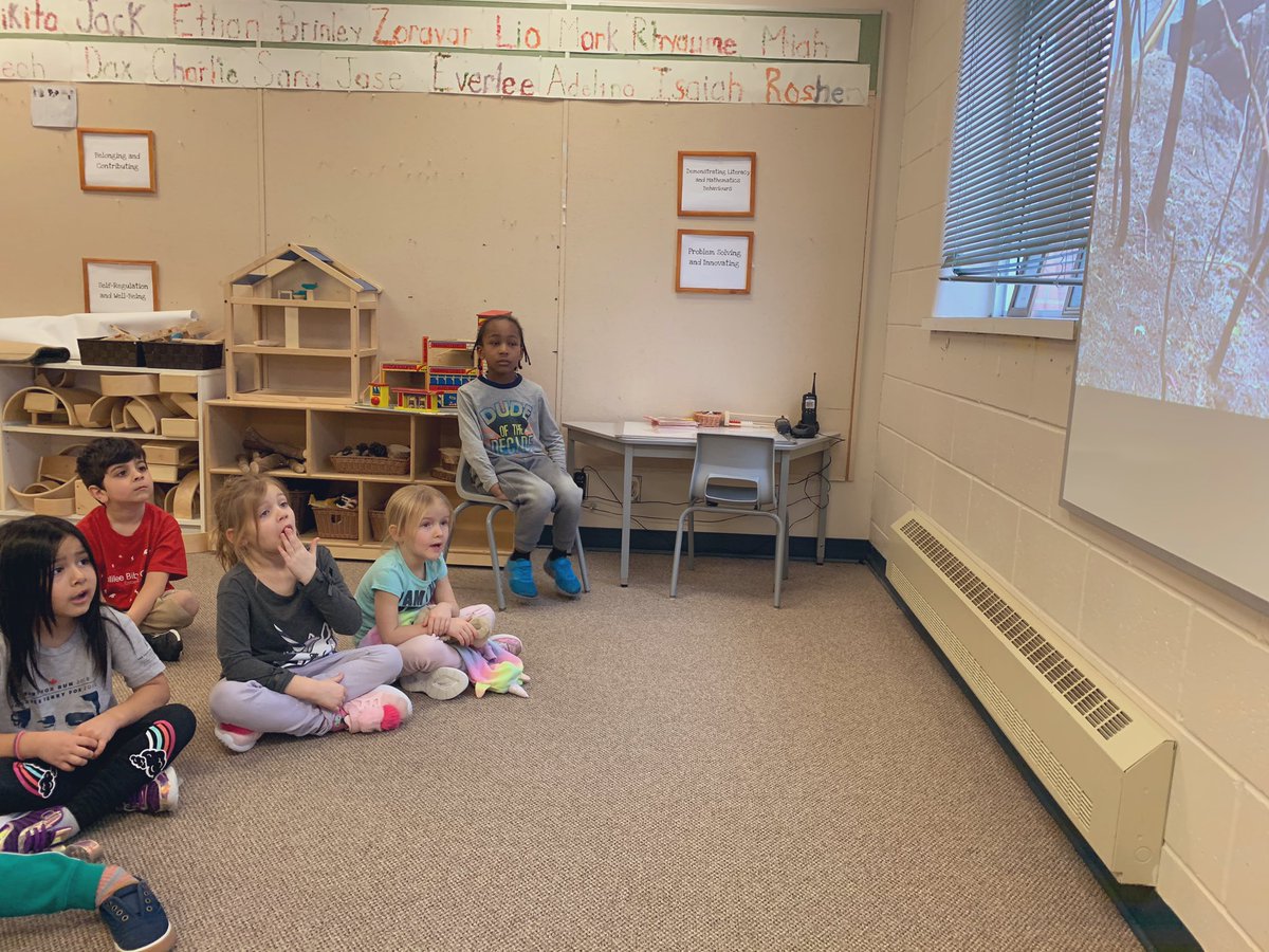 allisapowney's tweet image. I’m often amazed at some of the world issues my little kindergarten students understand and care about. While watching a video on the rescue efforts for Koala bears, a student exclaimed, “that person helping the koala has a nice character!” @StIsidoreOCSB #ocsbdeeplearning