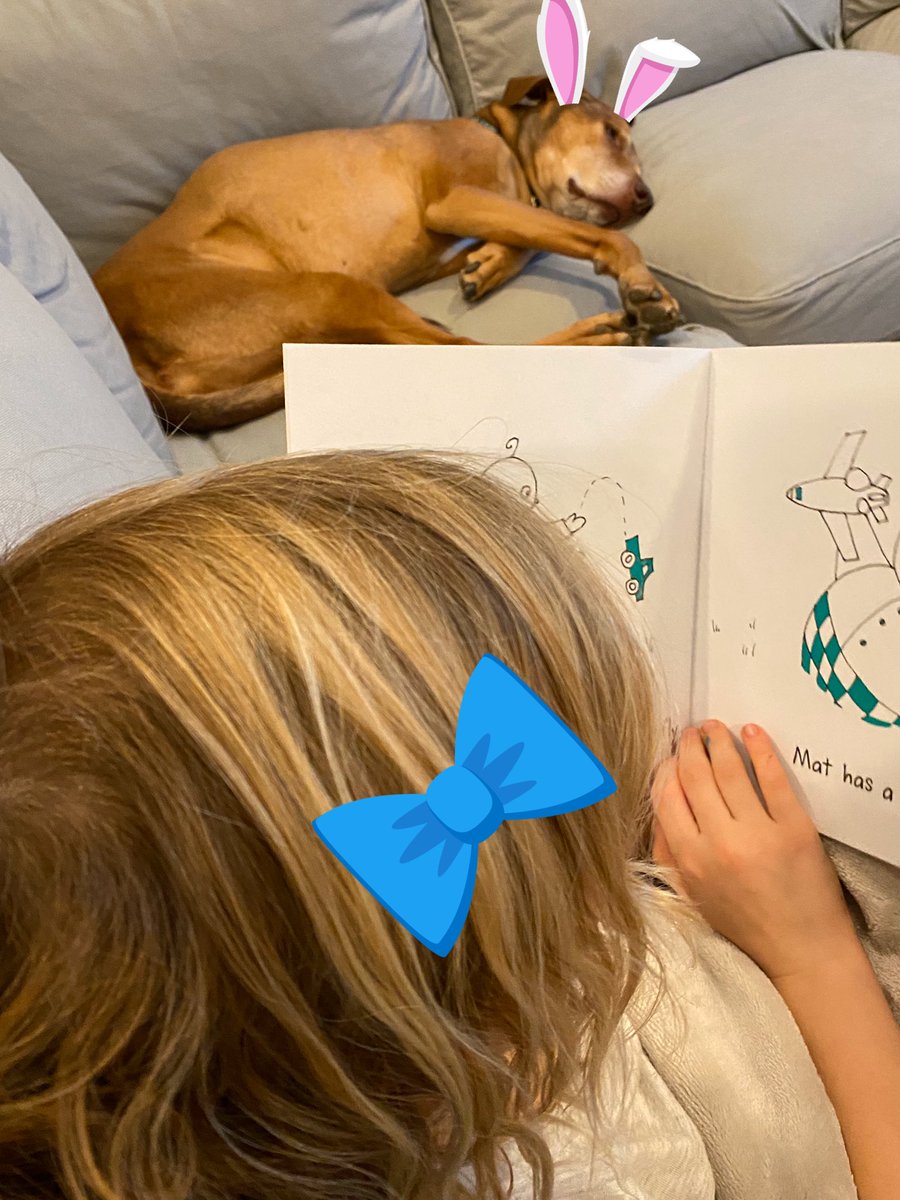 crys_creates's tweet photo. Bedtime stories have Lola ready for some ZZZZZs @HillsmereESAACP @SheilaAnnNorris #AACPSReadWithMe https://t.co/u5PYaGWqHB