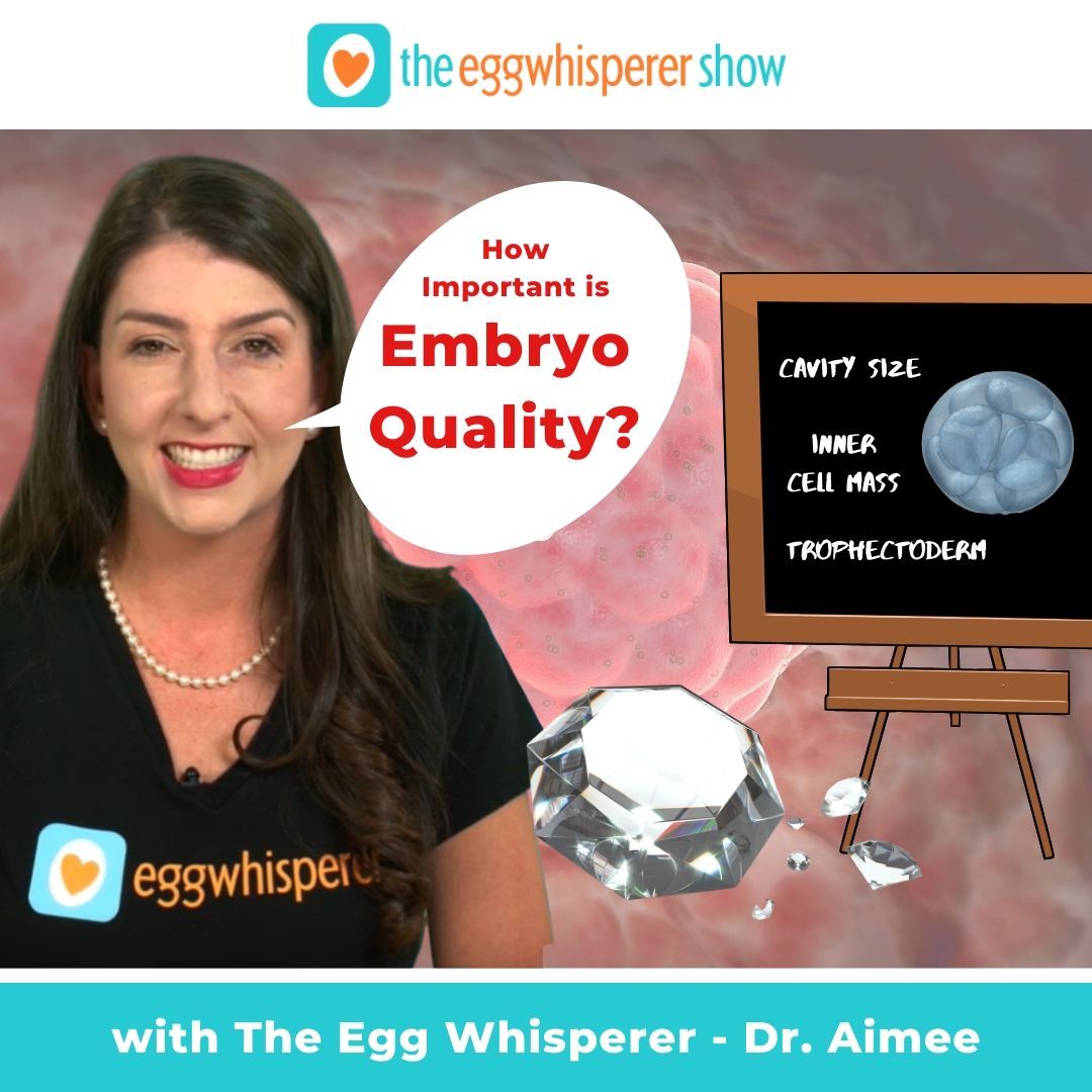 _EggWhisperer's tweet photo. This week on The Egg Whisperer Show:  It's time to talk a bit about #EmbryoQuality. There's some misinformation out there that when you are transferring embryos, embryo quality doesn't matter. This isn't true!
Tune in at 7pm right here on Twitter to learn more.
#IVF #ttc https://t.co/AQmcvGDuA0