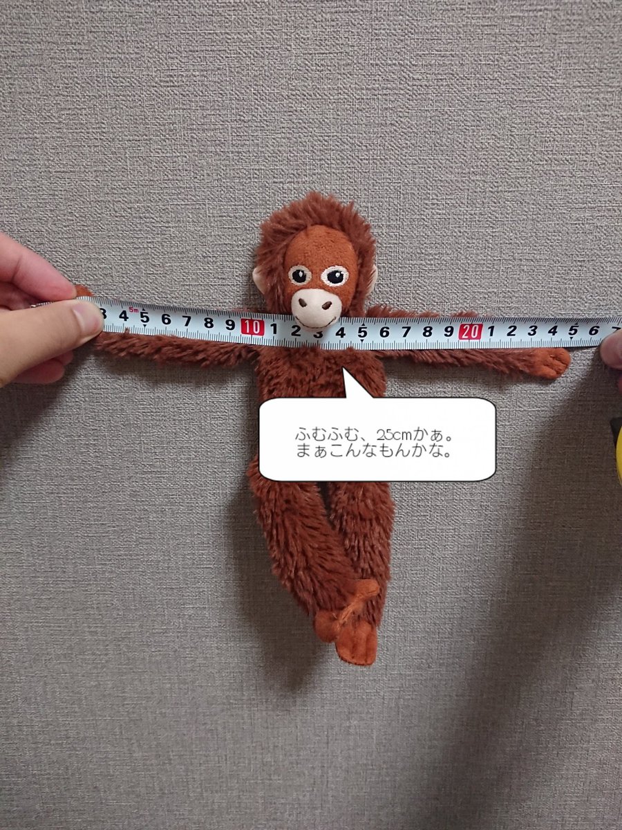 手の長さは猿のステータスだからな。
ドンキーコング64にランキーコングっていう間抜け顔の手長猿がいるけど、あれ地味に操作楽しかった記憶あるで。