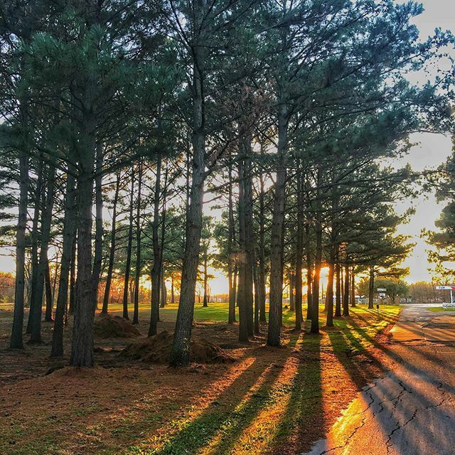 Iveyphotography's tweet photo. Beautiful sunset at Lake Fork #goatlake #lakefork #bigbassheaven #phonephotography https://t.co/pkAfaEVo2J https://t.co/OkS5IFkIFQ