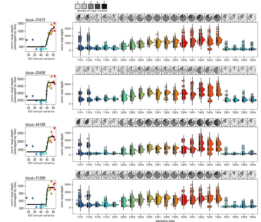 Yann Dorant (@yanndorant) on Twitter photo Just out in preprint, our latest study : Copy number variants outperform SNPs to reveal genotype-temperature association in a marine species. Get CNVs info through RADseq data #CNVs #RADseq #genomics <a href="/LaboBernatchez/">Labo Bernatchez</a>
biorxiv.org/content/10.110… Just out in preprint, our latest study : Copy number variants outperform SNPs to reveal genotype-temperature association in a marine species. Get CNVs info through RADseq data #CNVs #RADseq #genomics <a href="/LaboBernatchez/">Labo Bernatchez</a>
biorxiv.org/content/10.110…