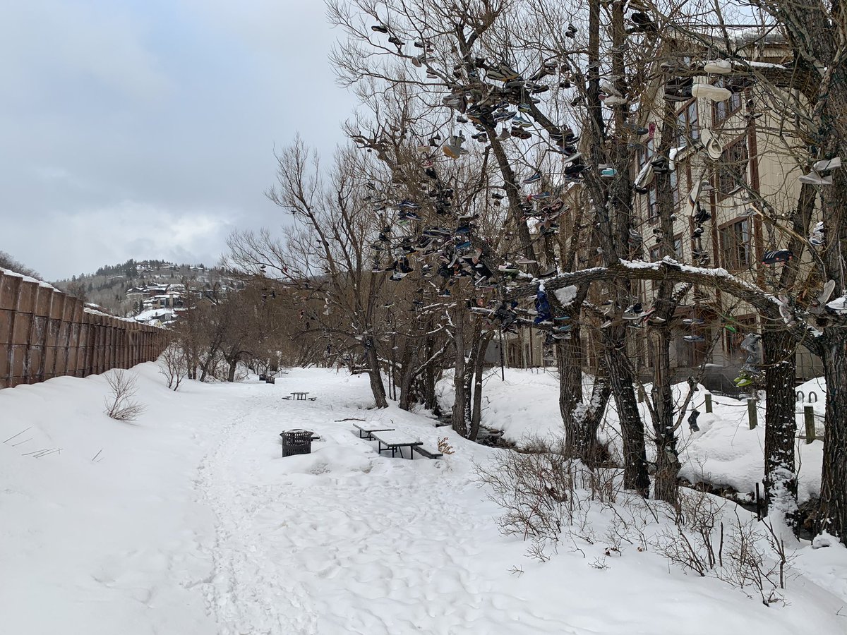 brianhart22's tweet photo. Who knows the story behind the shoe trees at #parkcityUT? #sundance #parkcity #Utah https://t.co/CJ1aNXx6at