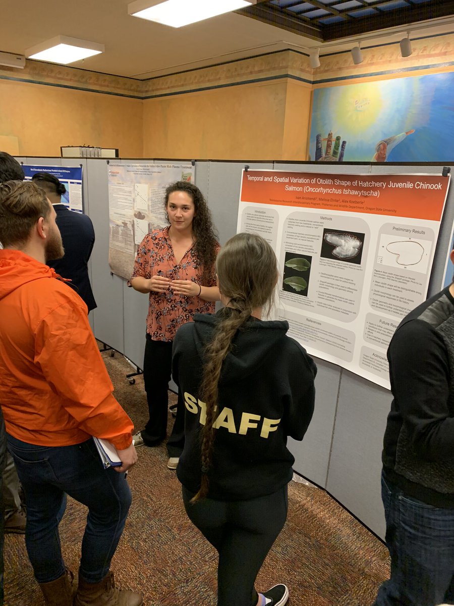 Timaukel's tweet photo. So proud of our lab undergraduates Najma and Ashleigh talking about diets of trout and salamanders and juvenile salmon otoliths. First time poster presenters! https://t.co/3Y5sF6YvgE