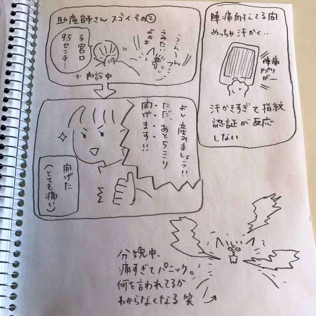 ナツメ 出産の話追加エピソード 子宮口開げるって書いてあるけど広げるの間違いだわ ちなみに広げ方は陣痛きてるあいだに手を突っ込んでたみたい