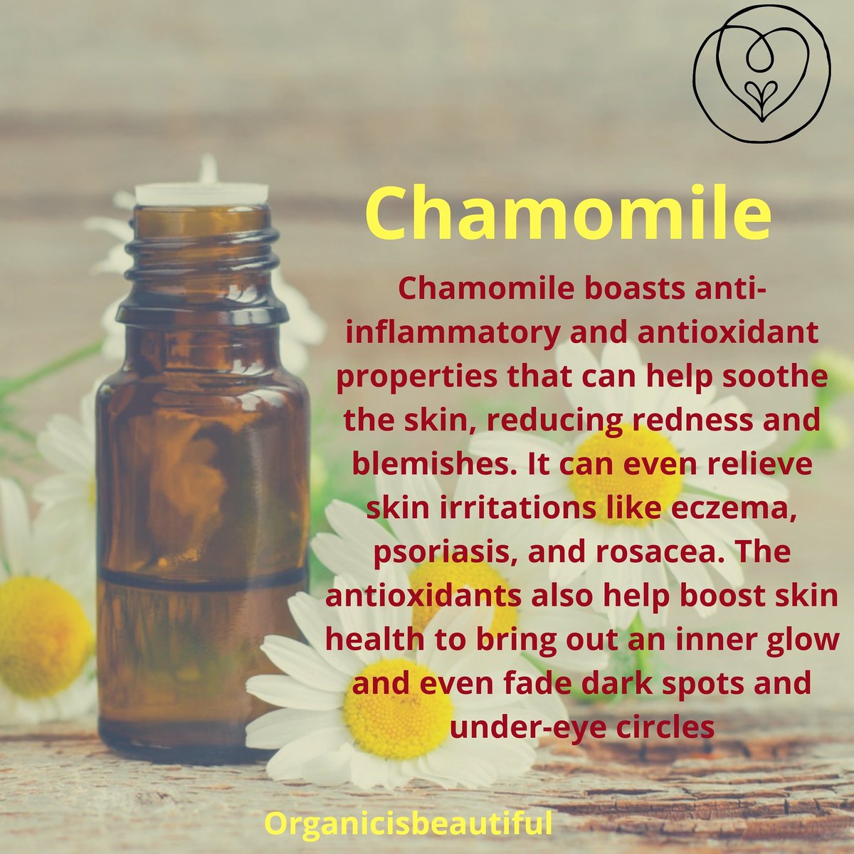 It boasts anti-inflammatory and antioxidant properties that can help soothe the skin, reducing redness and blemishes. It can relieve skin irritations like eczema, psoriasis and rosacea. The antioxidants also help boost skin health to bring out an inner glow