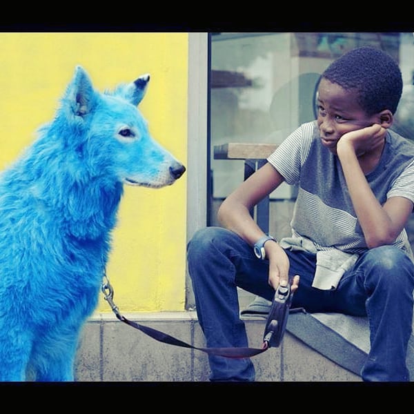 CourtAuch's tweet photo. 2 films primés au Festival en 2019 seront en lices pour le #Cesar du Meilleur Court Métrage 2020 🔥🎉
Chien Bleu &amp; Pile Poil
#Cesar2020 #cinema #auch #gers #fcma2020 #heureux 
@ladepeche_32 @TourismeAuch https://t.co/oVOLhbCRFL