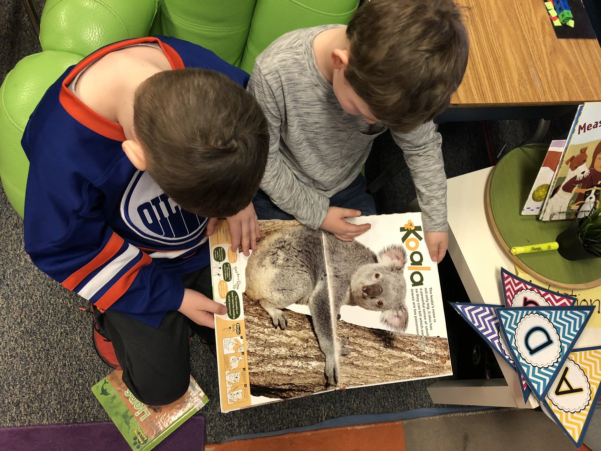 MissBotterill's tweet photo. We love reading non-fiction books! #GradeOne #EIPSTeaches #EIPSLearns #Literacy #JerseyDay @BrentwoodEIPS https://t.co/9qEM1UZFh0