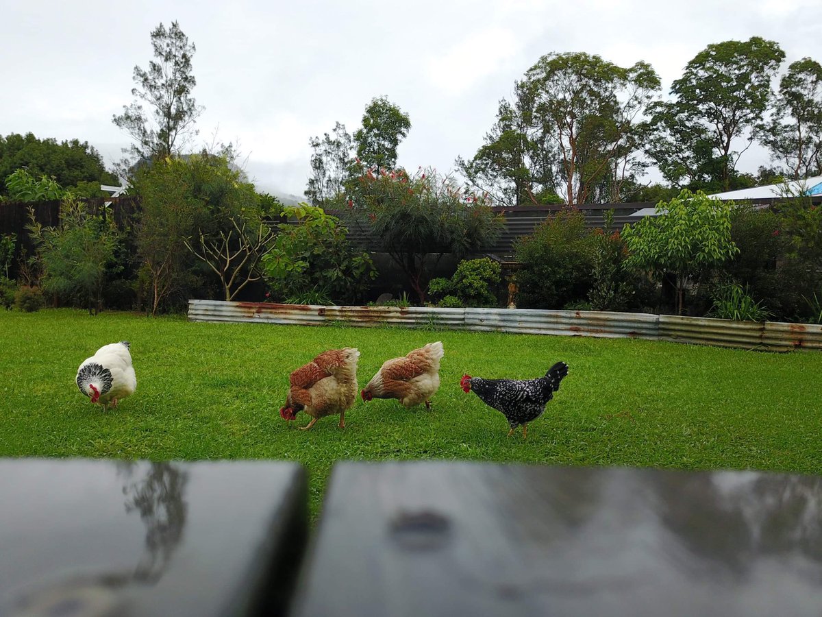 ljhbrunswickhds's tweet photo. AUCTION
7 March 10:00am on site
Open Saturday 10:30 β 11
#auction #forsale #justlisted #realestate #agents #openhomes #mainarm #mullumbimby #countryliving #rural #community #bekind #byronshire #brunswickheads #privateviewing #ljhooker #ljhbrunswickheads #ljhookerbrunswickheads https://t.co/HvFO08C123