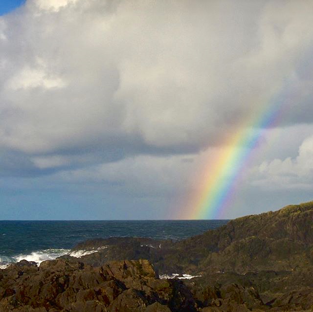 When your back yard is nature's playground ...
Welcome to Ucluelet!

.
.
.

#oceanwestliving #lovewhereyoulive #coastlife #westcoast #explorebc #magical #nature #ucluelet
📷 @chezcloe