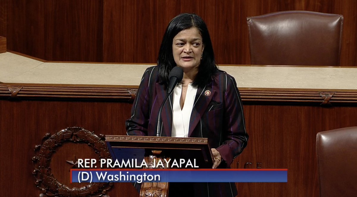 Rep. Pramila Jayapal speaks on the House floor.