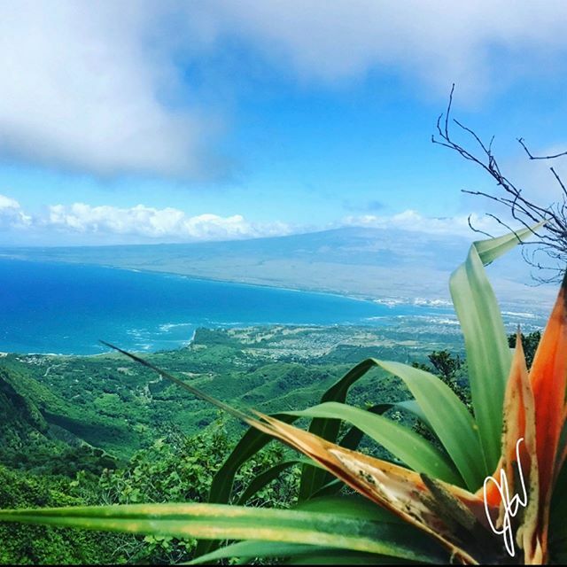 Who knows where this was taken? #mauihikes, #mauitrails, #mauivacation, hikingmaui ift.tt/2RZtcs7