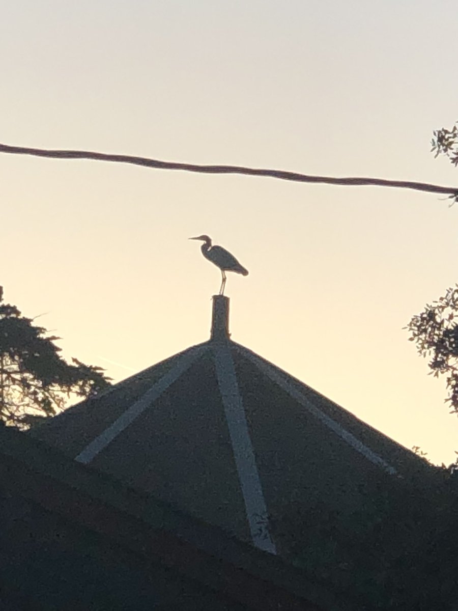 mickemae's tweet photo. A beautiful start to camp keep Wednesday morning.@teacherkristi77 @ThornerThunder @ThornerThunder https://t.co/QDjLtAQl4x