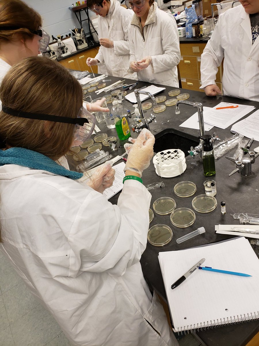 noscals's tweet photo. .@GalenaRII #apbio students performing bacterial transformation experiments because some jerk removed the labels and switched the caps on all the plasmid vials 🤔🥼🧫🧪 https://t.co/8FEK29bjVH
