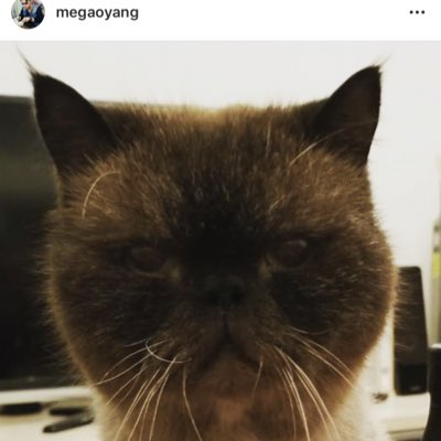 #NewProfilePic (新個人資料照片)