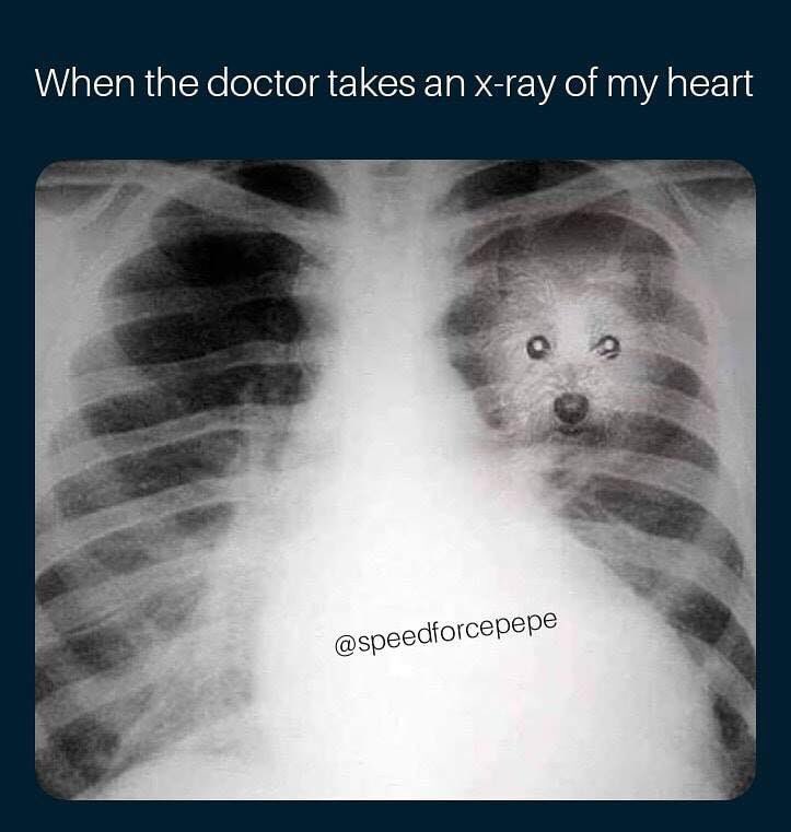 Bryan Taylor (@bgorillafishing) on Twitter photo 