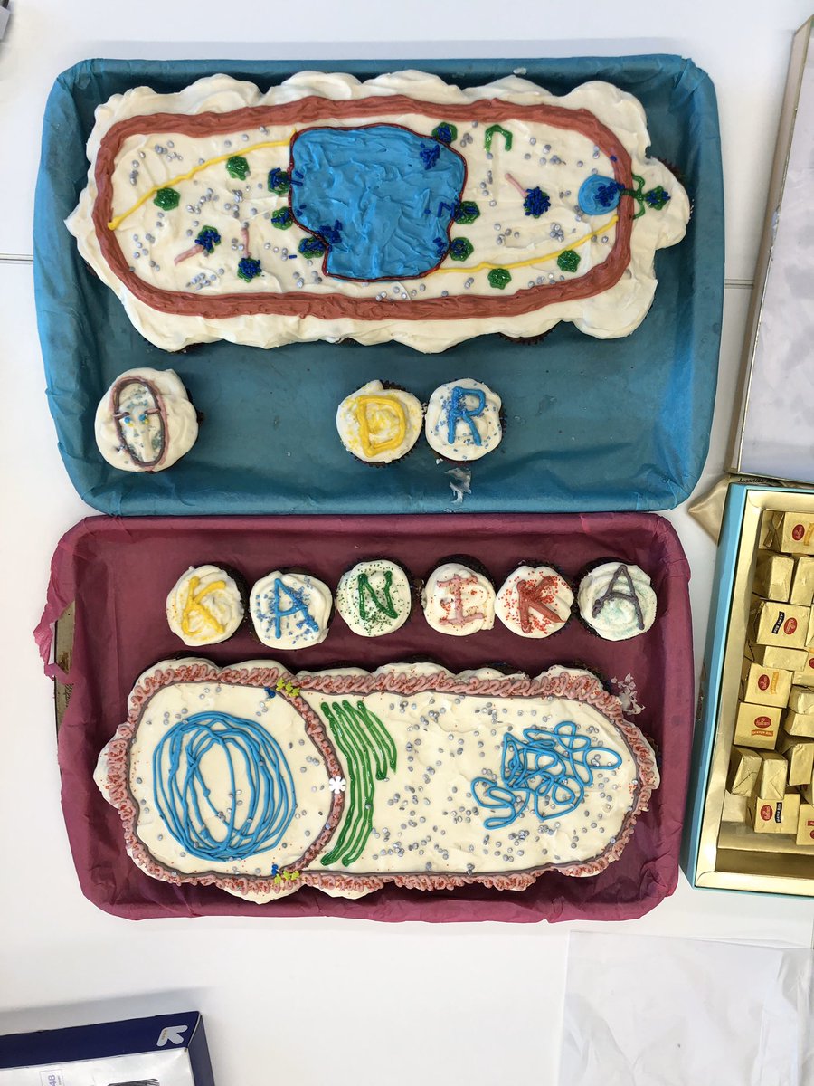 TheVillaLab's tweet photo. Couldn’t have a party without #engulfment and #phagenucleus cake! #bacilus #pseudomonas #giantphage #cryoET. Thanks @CressidaMadigan for inspiration and help! https://t.co/Mxj2ZZJ8mS