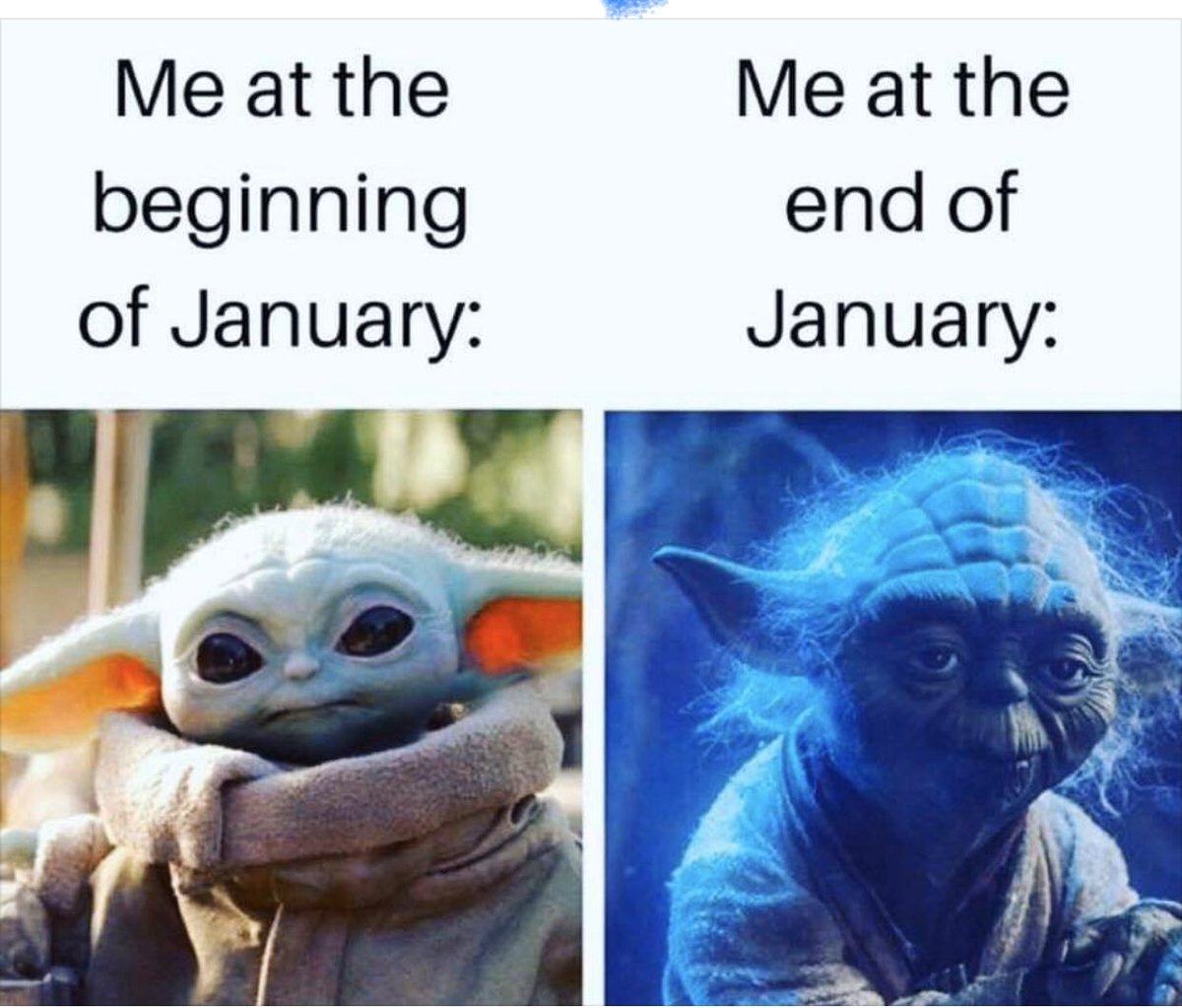 Ruth Z Torres tweet media