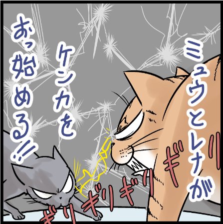 ウサ子さんから後で聞いてなんとも言えない気持ちになったw
#猫好き 