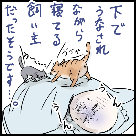 ウサ子さんから後で聞いてなんとも言えない気持ちになったw
#猫好き 