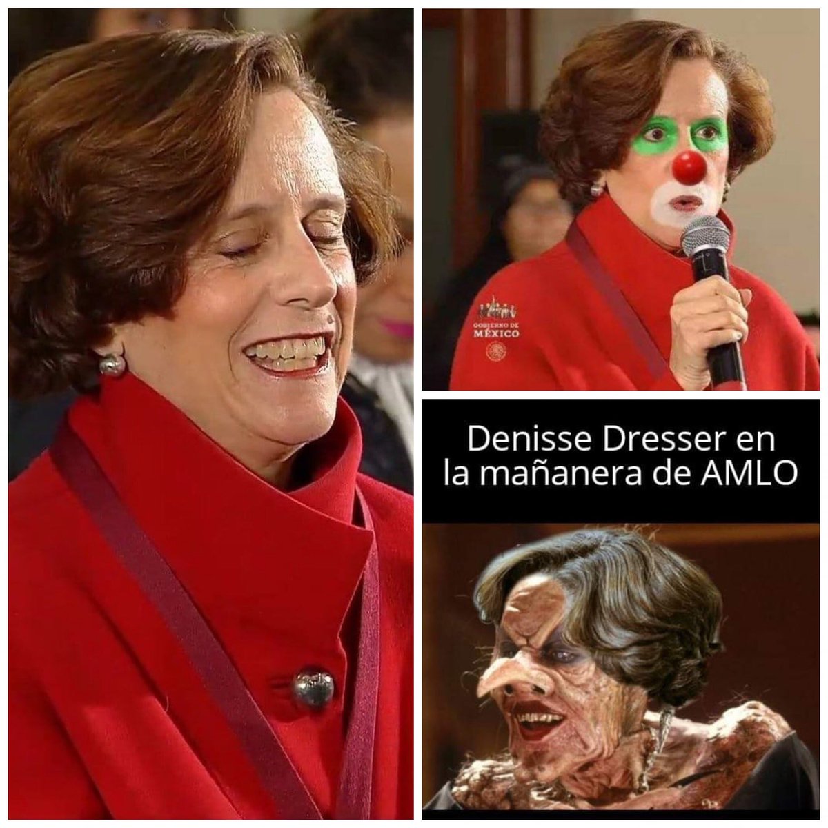 Napo tweet media