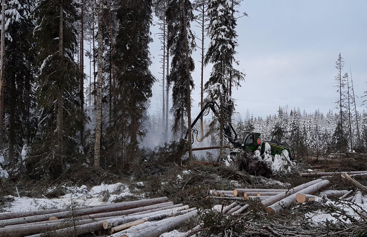Metsahallitus's tweet photo. Harvesterit keräävät dataa! Opetamme tekoälyä innovaatiokumppanimme CollectiveCrunchin kanssa. Jo nyt yli puolet Metsähallitukselle töitä tekevistä harvestereista kerää  gps-paikannettua hakkuukonetietoa. Tavoitteena AI:n avulla toimenpidesuunnitelmat suunnittelijoidemme tueksi. https://t.co/MNoxPo8pF9