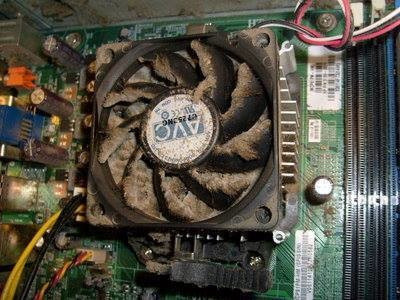 championgeek's tweet image. Did you know January is #cleanupyourcomputermonth no we didn&apos;t either until now! Top ways you can commemorate is to ensure the air vents have good air flow &amp;amp; are free from dust. It&apos;s also a good opportunity to clear some space on your hard drive by deleting any unwanted data.