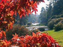 Enchanted Leonardslee (@enchantedhorsh) on Twitter photo A spectacular new venue for 2020 at Leonardslee Gardens featuring a magical trail through the woods and lakes. Early Bird tickets with 30% OFF on sale until 29 February <a href="/LeonardsleeG/">Leonardslee Lakes & Gardens</a> A spectacular new venue for 2020 at Leonardslee Gardens featuring a magical trail through the woods and lakes. Early Bird tickets with 30% OFF on sale until 29 February <a href="/LeonardsleeG/">Leonardslee Lakes & Gardens</a>