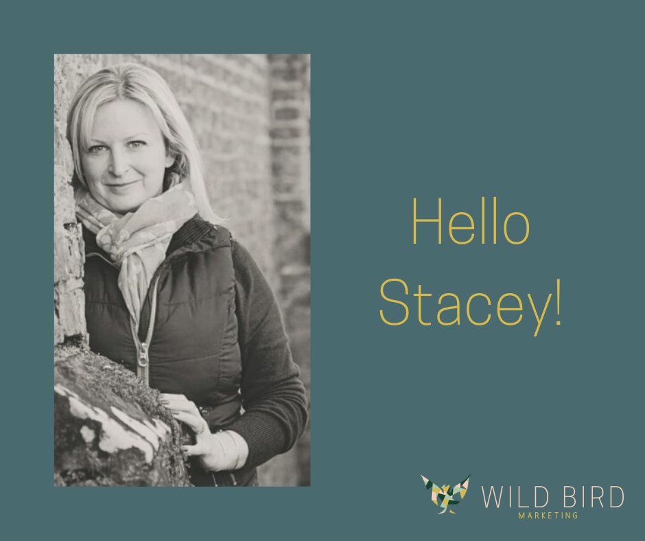 WildBirdMarket's tweet image. The #superheroteam is growing once again! Allow us to introduce you to Stacey, she's actually been on board for quite some time - from the start to be specific, she's amazing! Stacey is our #advertising guru...find out more here: 

wildbirdmarketing.co.uk/about-us/