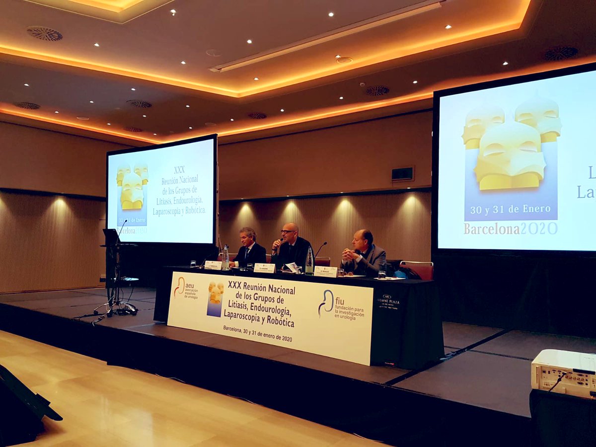 InfoAeu's tweet photo. Sesión inaugural #LELR20 @EndoLapRobAEU https://t.co/dhTtxYZhFj