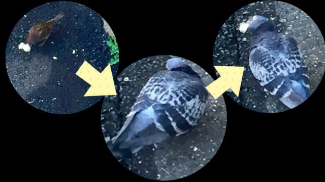 スパイシーチキンレッグ Twitter Search Twitter