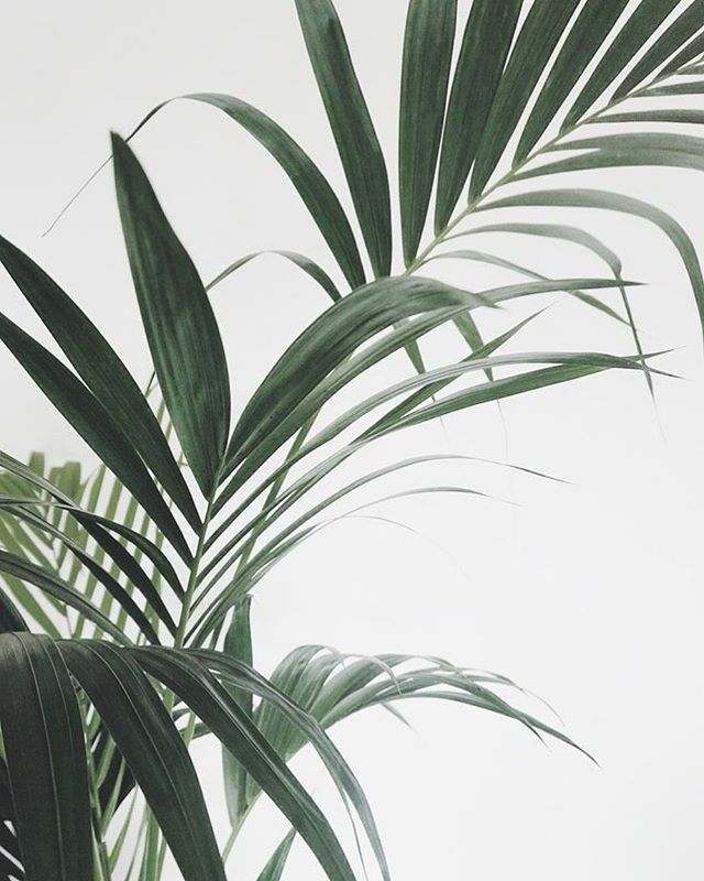aylin_halman's tweet photo. #mood #color #green #nature #pinterestinspired https://t.co/WPe0RCb7nY https://t.co/XmqLoDhwk3