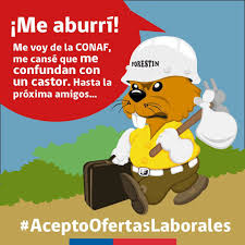 MilenaMparrau's tweet photo. @ForestinChile @conaf_minagri https://t.co/DqerHV7TaK