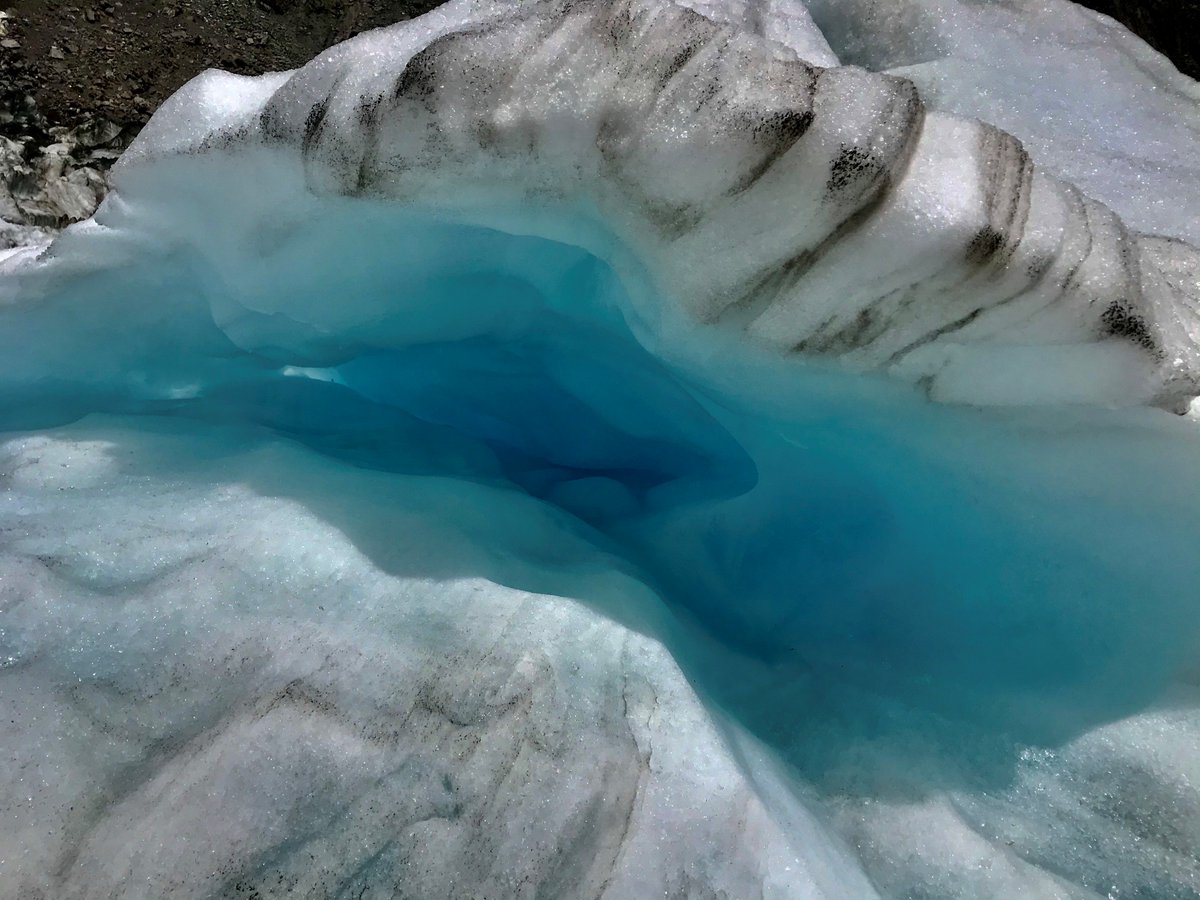 Fox Glacier Guiding tweet media