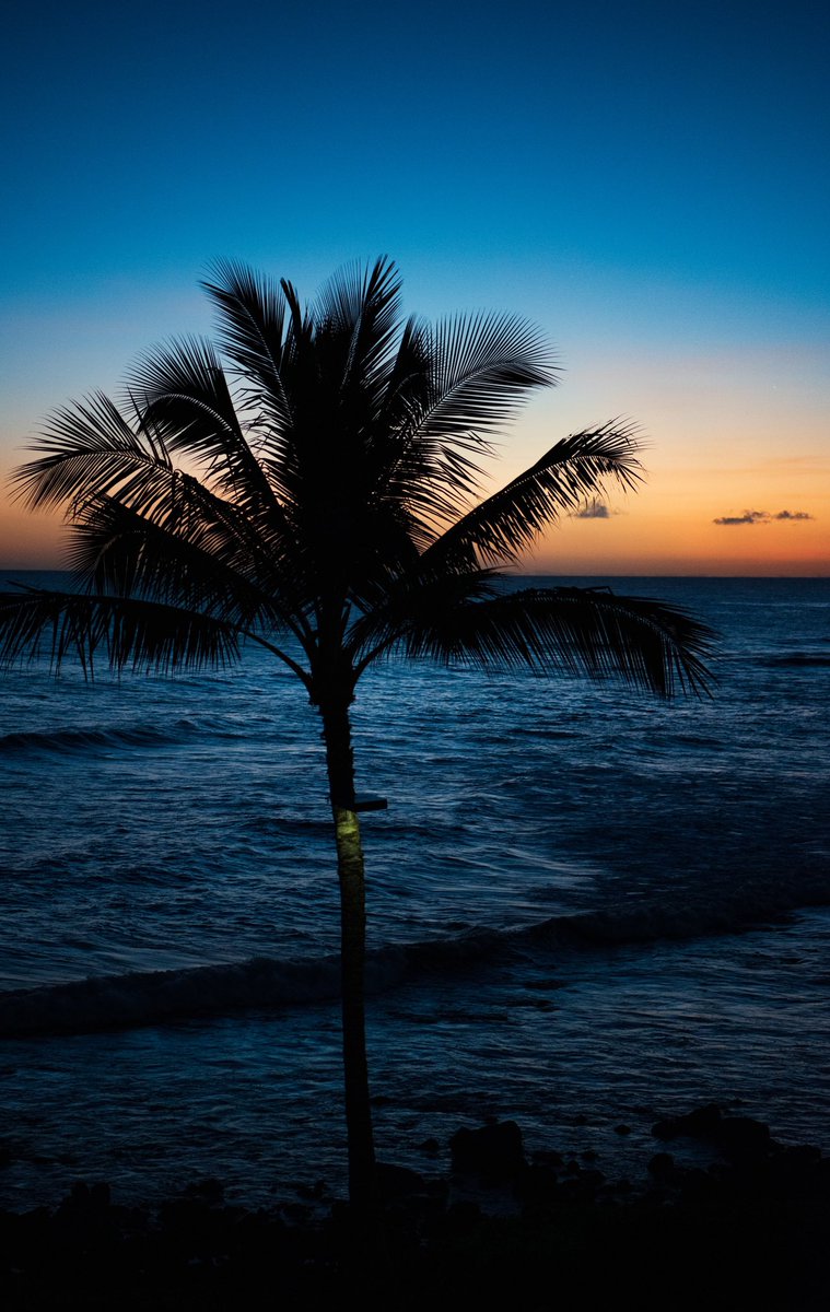 AdamShoop's tweet image. #kauai 😍