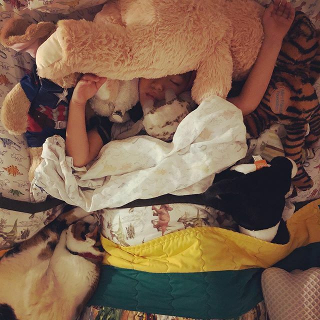 wrtsmith's tweet image. This kid and his mostly stuffed animals. #junbug
