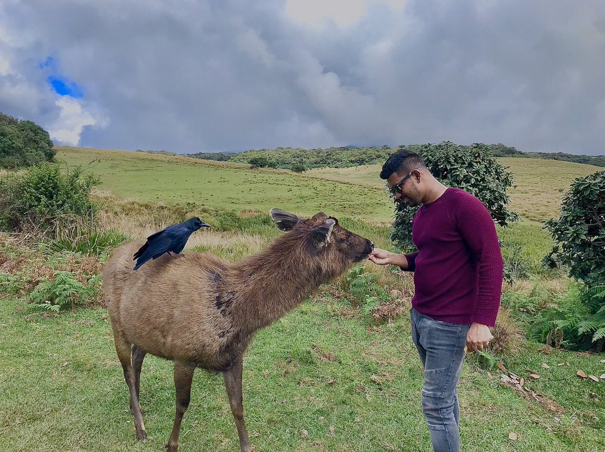 asianpearltours's tweet photo. World's End is located within the Horton Plains National Park in Nuwara Eliya, Sri Lanka. 
#tripsrilanka #privatetourguidesl #srilanka # nature #adventurer #highking https://t.co/tpjivefl7e